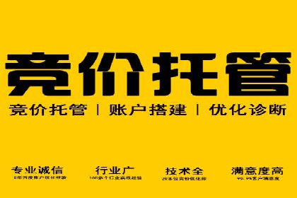 行业领先企业如何通过SEM推广代运营提升业绩
